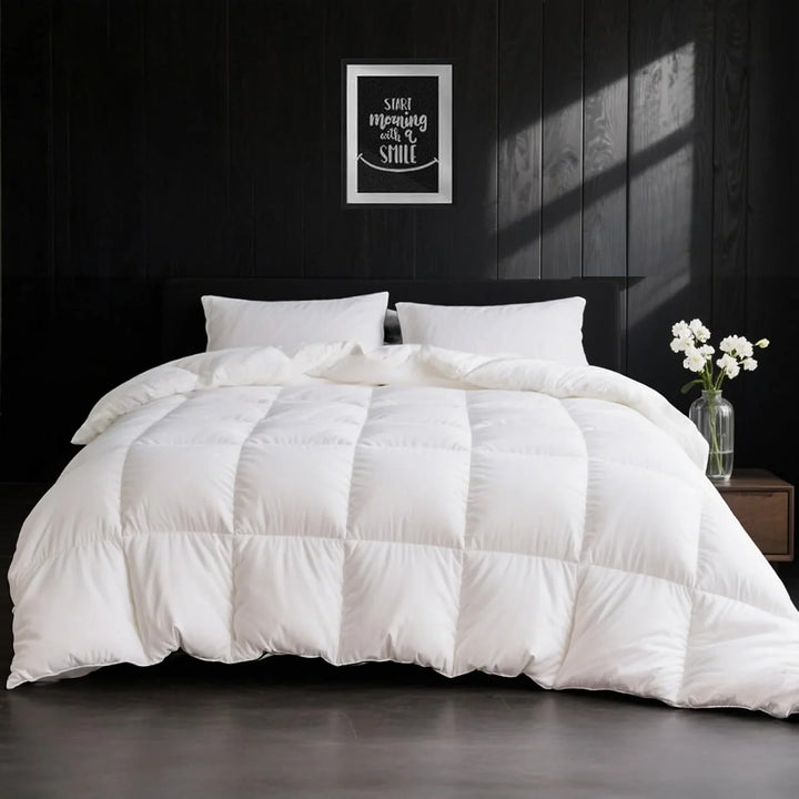 APSMILE Feather and Down Duvet, Winter Duvet Filling, 200 x 200 cm