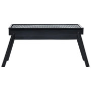 Barbacoa Portátil Para Camping De Acero 60x22,5x33 Cm Vidaxl