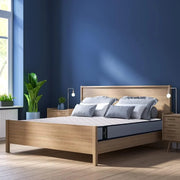 Cecotec Colchón Viscoelástico Flow ViscoCare 1900 90x200cm.Multicapa, Altura 21 cm, Núcleo FoamTech, Firmeza Alta, Capa Viscoelástica ViscoCare, Tejido PureCare, Doble Cara AllPerfect, Azul