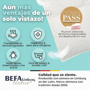 BEFA NATUR Duvet made in Germany, 240 x 220 cm, 60% down and 40% feathers, winter duvet, suitable for allergy sufferers (nomite), Oeko-Tex 100 Class 1, standard EN 12934, Downpass