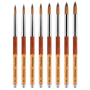 Aokitec Kolinsky Acrylic Nail Brush, Professional Nail Art Brush for Acrylic Powder Application, Size #8-#22