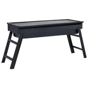 Barbacoa Portátil Para Camping De Acero 60x22,5x33 Cm Vidaxl